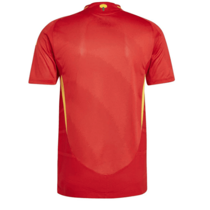 Spain 2024/25 jersey